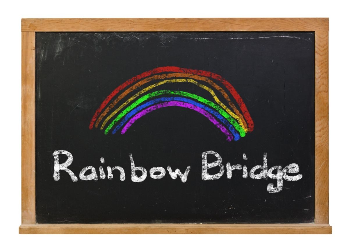 Rainbow Bridge written in white chalk with a hand drawn colorful rainbow on a black chalkboard isolated on white